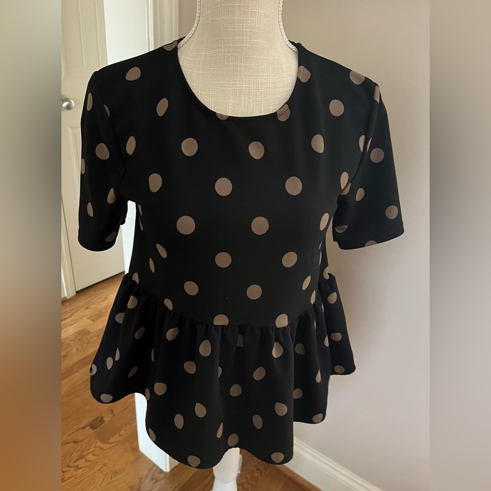 Zara polka dot top